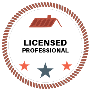 Licensed Professional